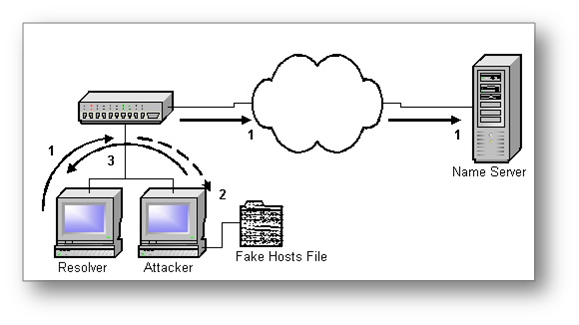 [صورة مرفقة: Local-DNS-Hijacking-Scenario.jpg]