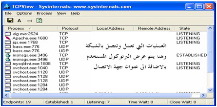 [صورة مرفقة: TCPView.jpg]